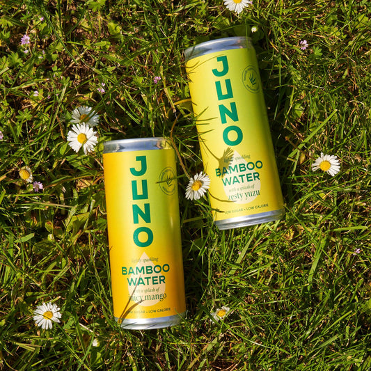 10 Reasons To Drink Juno Bamboo Water - Juno Bamboo Water