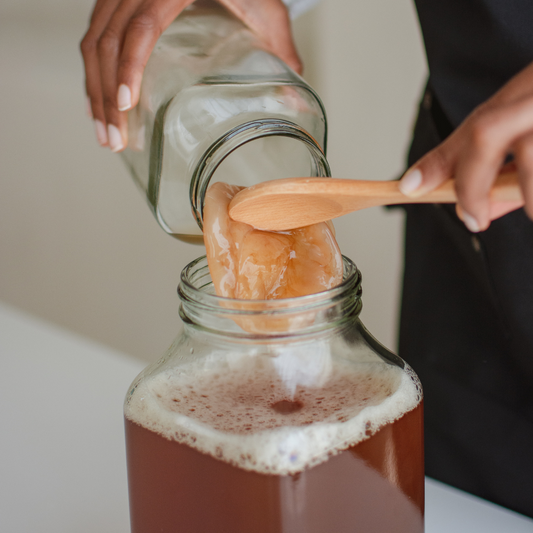 Fermented Drinks 101: What’s the hype?