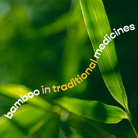 Bamboo in Traditional Medicines