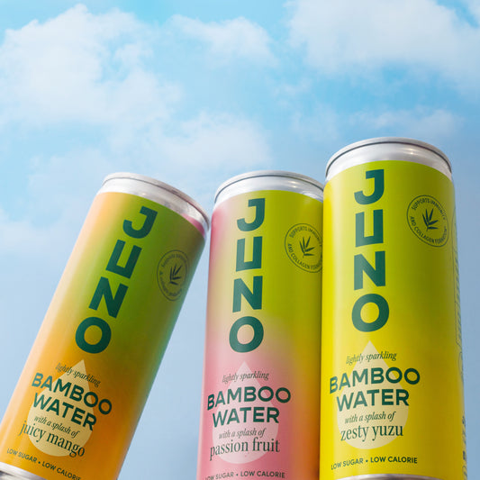 Creative Ways to Enjoy Healthy Hydration Beyond Just Water