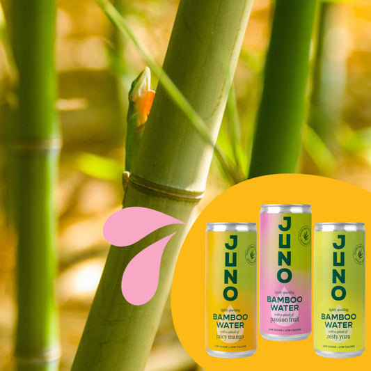 Experience the Natural Benefits of Bamboo Extract in Juno Bamboo Water