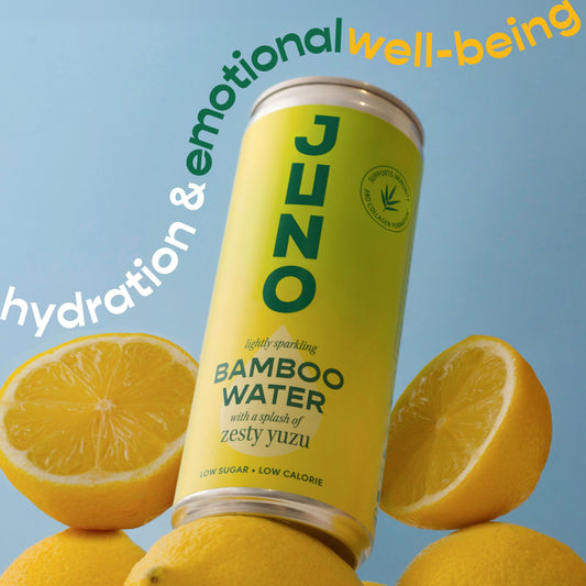 Hydration and Emotional Well-Being: Connecting Water Intake to Mood