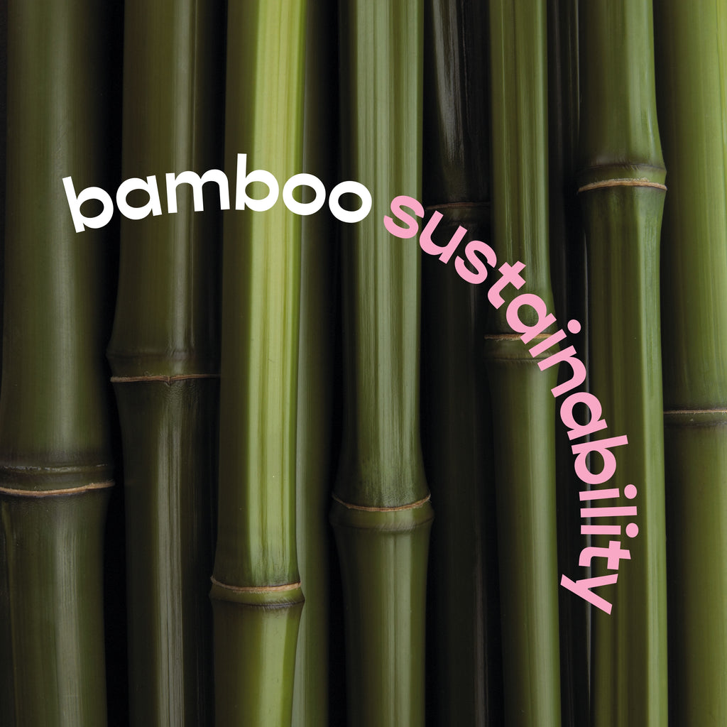 Bamboo: Paving the Way for Sustainable Living