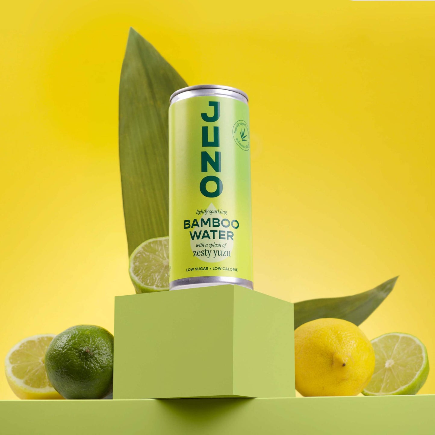 Zesty Yuzu